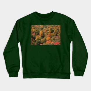 Fall Foliage Crewneck Sweatshirt